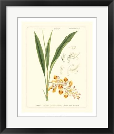 Framed Lush Tropical III Print
