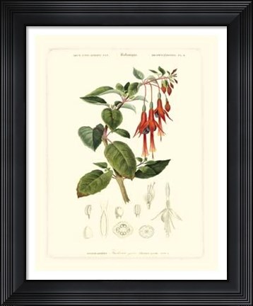 Framed Lush Tropical IV Print