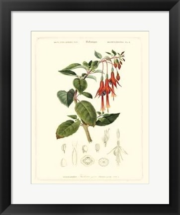 Framed Lush Tropical IV Print