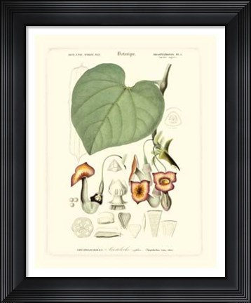 Framed Lush Tropical V Print