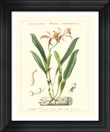 Framed Lush Tropical VI Print