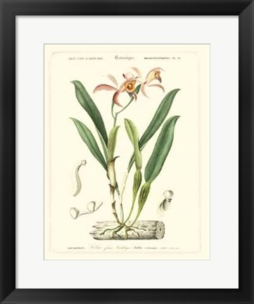 Framed Lush Tropical VI Print