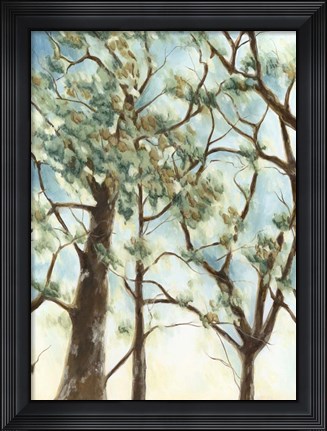 Framed Shenandoah Sunrise II Print