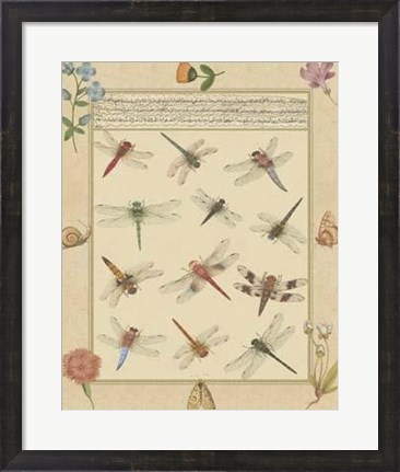 Framed Dragonfly Manuscript I Print