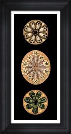 Framed Kaleidoscope Anemone II Print