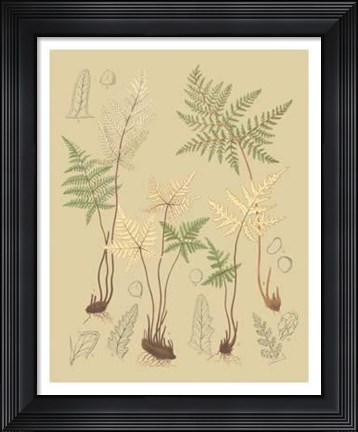 Framed Nature&#39;s Lace II Print