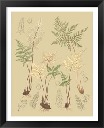 Framed Nature&#39;s Lace II Print