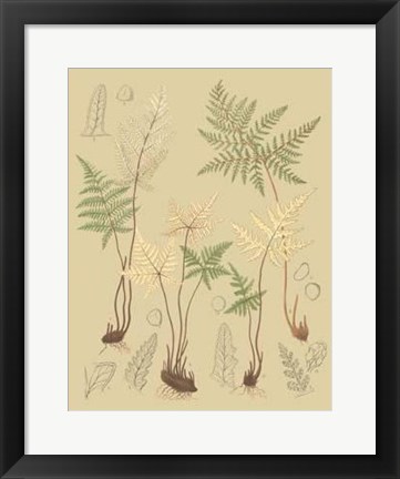 Framed Nature&#39;s Lace II Print