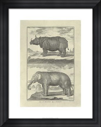 Framed Elephant Rhino Print
