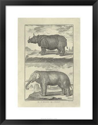 Framed Elephant Rhino Print