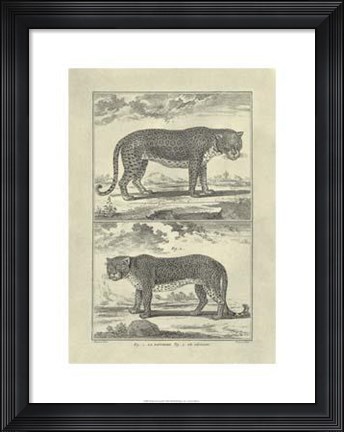 Framed Panther Leopard Print