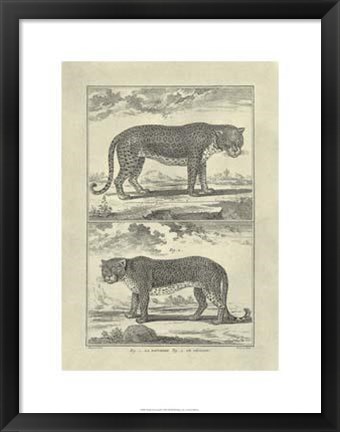 Framed Panther Leopard Print