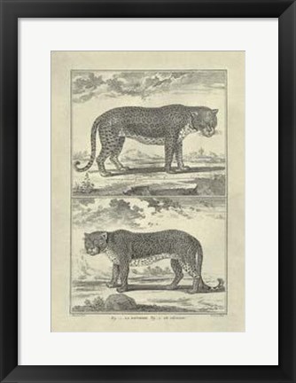 Framed Panther Leopard Print