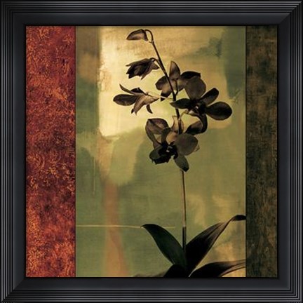 Framed Mesmerized II Print