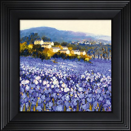 Framed Champs D&#39;iris, Provence Print