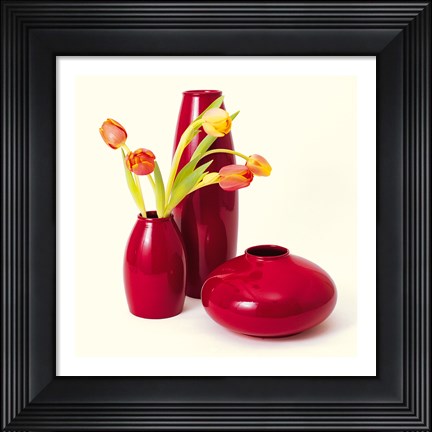 Framed Coromandel II Print