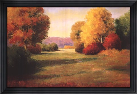 Framed Morning Light I Print