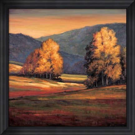 Framed In All Its Glory II Print