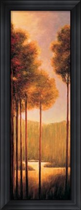 Framed Through The Woods III Print