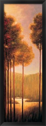 Framed Through The Woods III Print