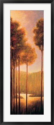Framed Through The Woods III Print