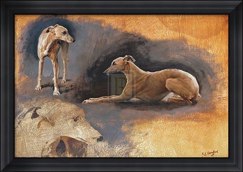 Framed Whippets Study Print