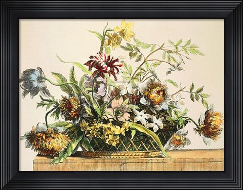 Framed Basket of Flowers II Print