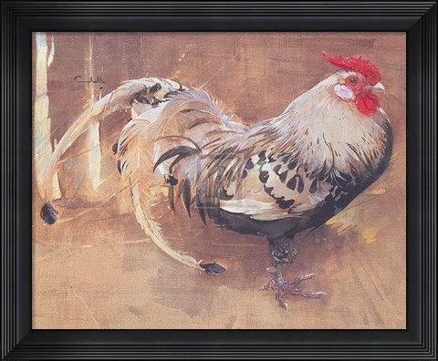 Framed Spangled Cock Print