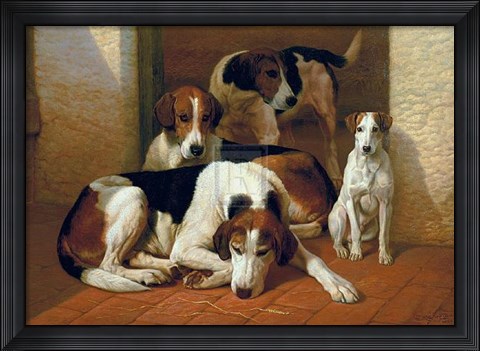 Framed Foxhounds and a Terrier Print