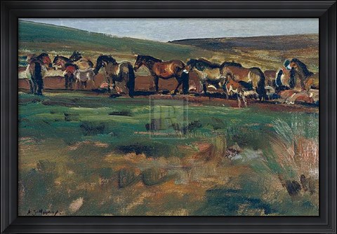 Framed Exmoor Ponies Print
