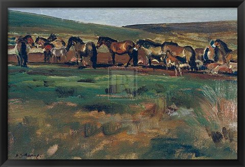 Framed Exmoor Ponies Print