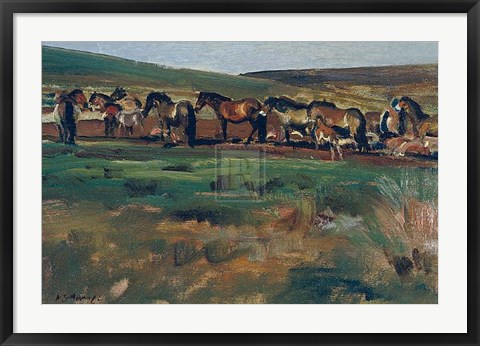 Framed Exmoor Ponies Print