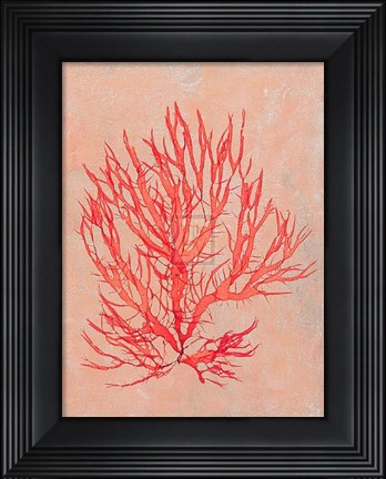 Framed Coral Island II Print