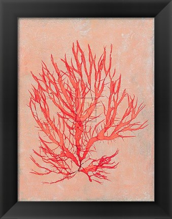 Framed Coral Island II Print