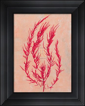 Framed Coral Island III Print