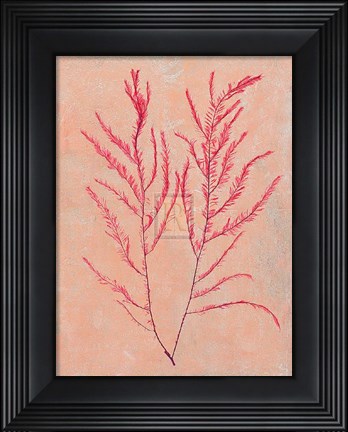 Framed Coral Island IV Print