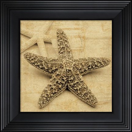 Framed Starfish Print