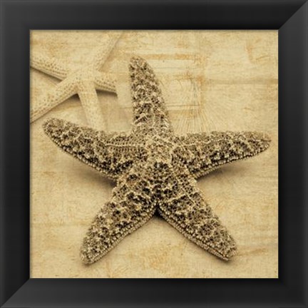 Framed Starfish Print