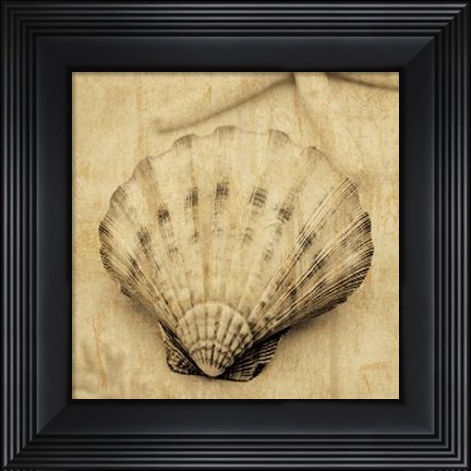 Framed Scallop Print