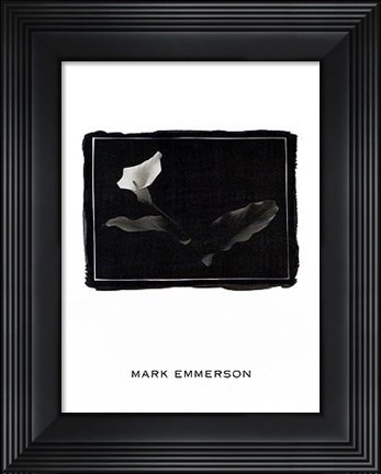 Framed Calla Lily, Bermuda Print