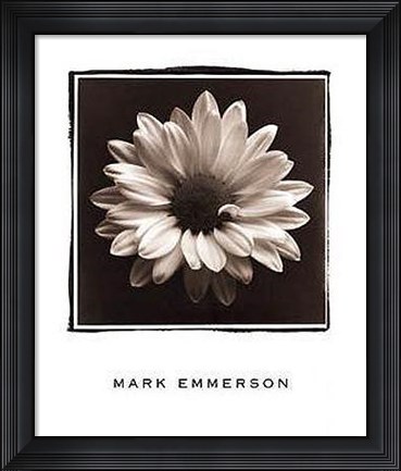 Framed Mary Ann (Daisy), Bermuda Print