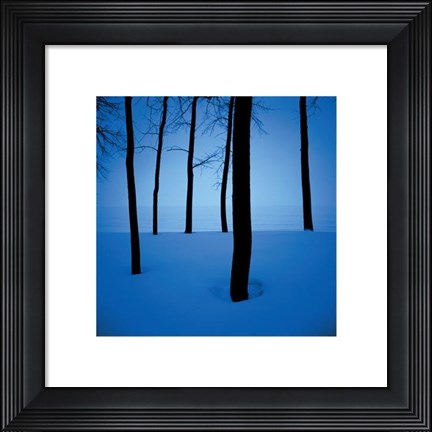 Framed Trees In Snow Print