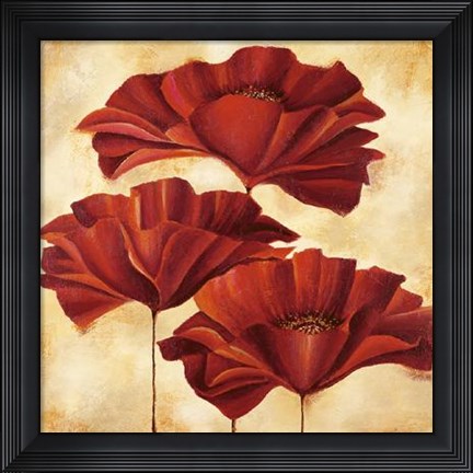 Framed Three Poppies II Print