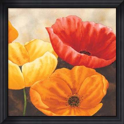 Framed Papaveri Variopinti II Print