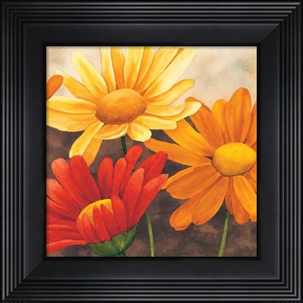 Framed Margherite Variopinte II Print