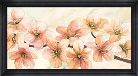 Framed Ciliegio in Fiore II Print