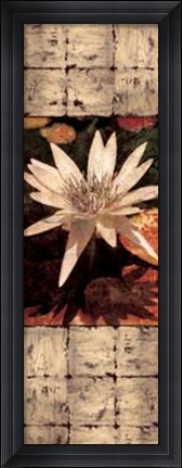 Framed Waterlily Panel I Print