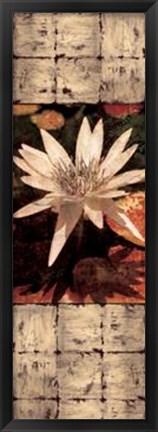 Framed Waterlily Panel I Print