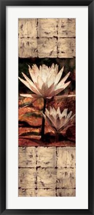 Framed Waterlily Panel II Print