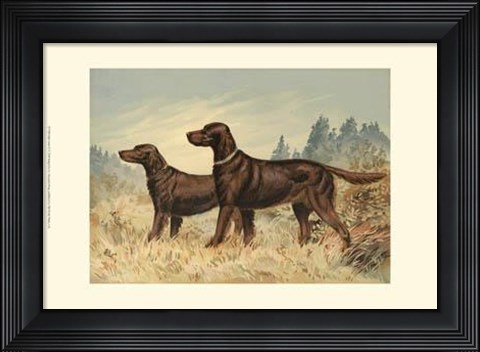 Framed Irish Setter II Print